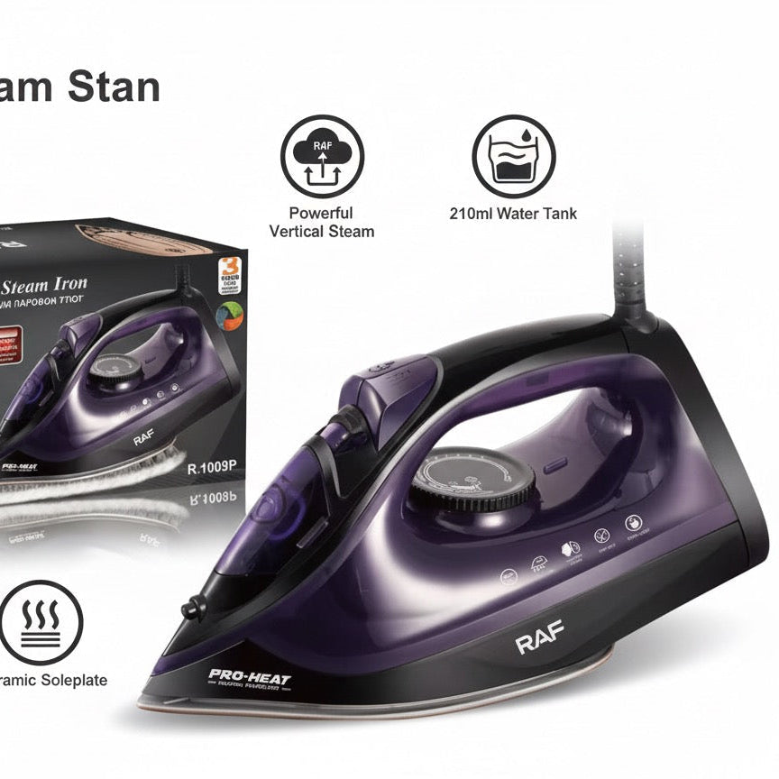 Electric steam iron